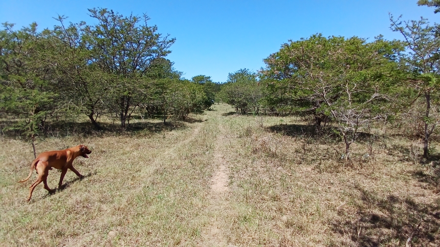 Commercial Property for Sale in Bathurst Rural Eastern Cape